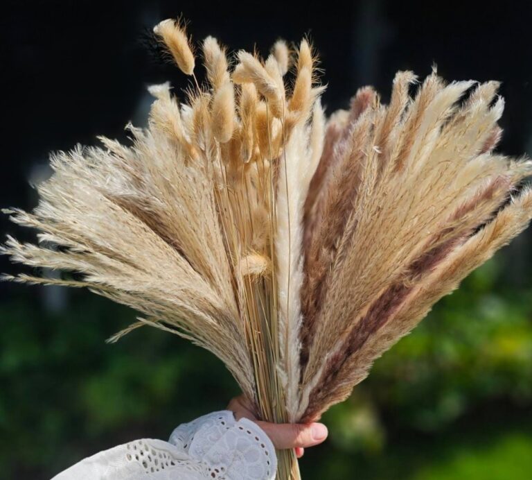 Pampas Pluimen, Bohemian, Beige, Boeket