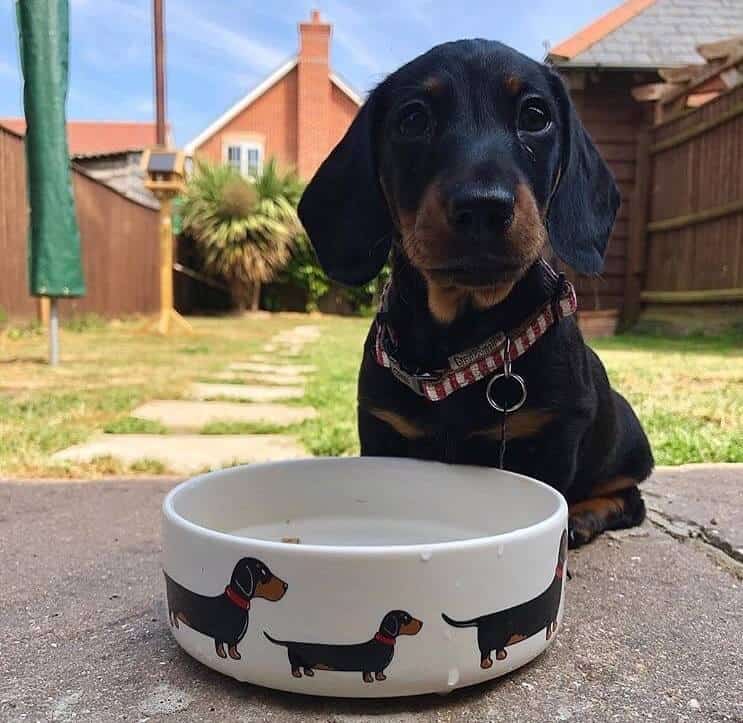 70a73caa86783ef2c6b2f6ae95358b1783dbb008835cd0607481b75acb98bdae