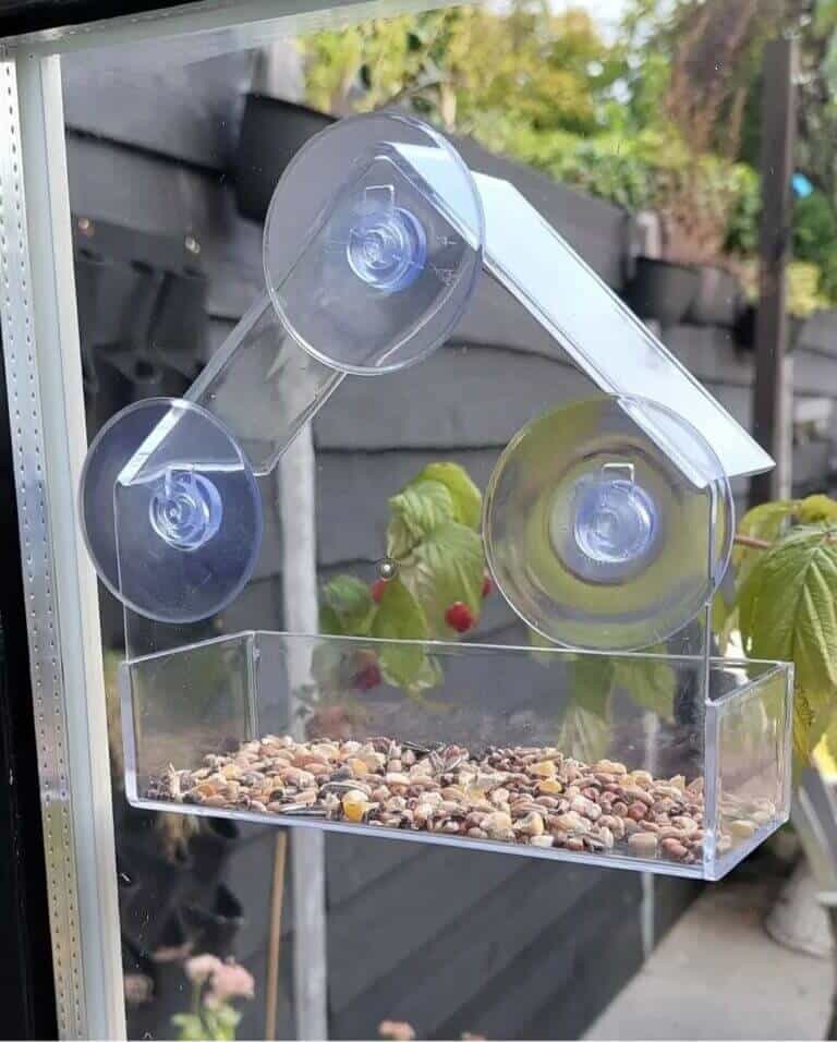 Screenshot_20221011-144038_Instagram