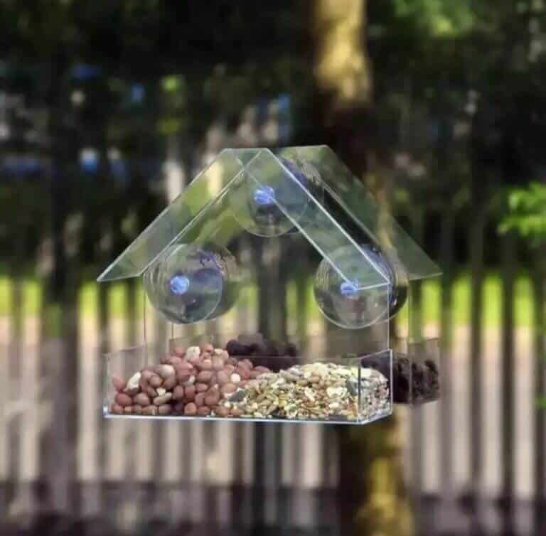 Screenshot_20221011-144038_Instagram