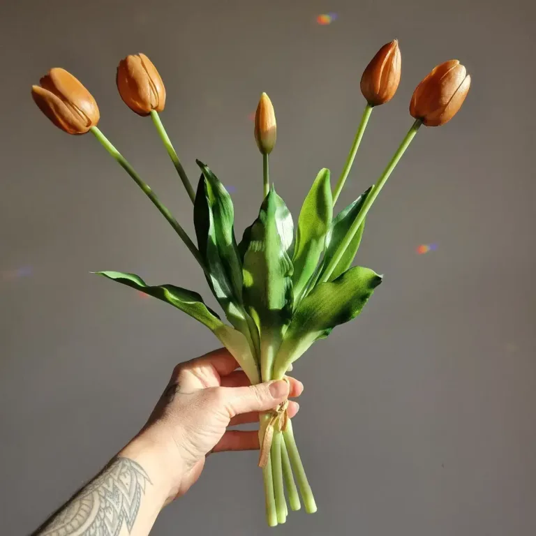 IMG_20240123_161605_449